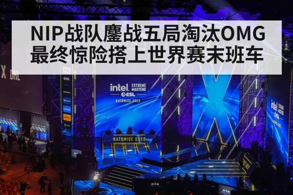 NIP战队鏖战五局淘汰OMG 最终惊险搭上世界赛末班车